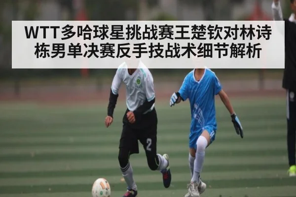 WTT多哈球星挑战赛王楚钦对林诗栋男单决赛反手技战术细节解析